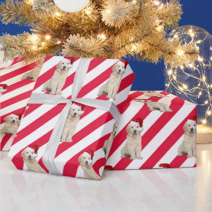 Goud Retriever Puppy Op Strepen Cadeaupapier