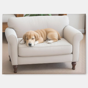 Goud Retriever Puppy Slapend Magneet
