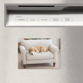 Goud Retriever Puppy Slapend Magneet (Insitu (Vaatwasser))