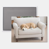 Goud Retriever Puppy Slapend Magneet (Voorkant / Achterkant)