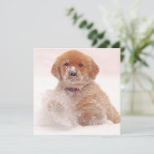 Goud Retriever Puppy Speelt in de Sneeuw Feestdagenkaart (Staand voorkant)