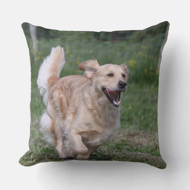 Goud Retriever Rent 1 Kussen (Voorkant)