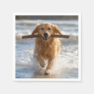 Goud Retriever Rent met een Strandstok Servet