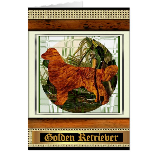 Goud Retriever Sporthond (Voorkant)