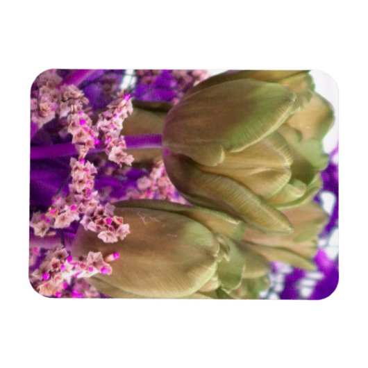 Goud Roos W/Paars N Roze Fridge Magnet Magneet (Horizontaal)