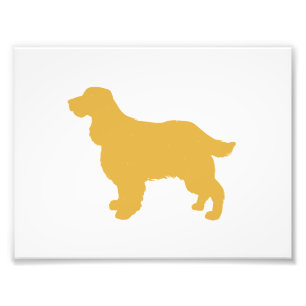 Goud silhouet van Cocker - Kies achterkleur Foto Afdruk