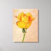 Goud Sinaasappel Single Roos Flower Art Canvas Afdruk (Voorkant)