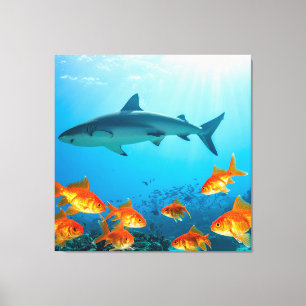 Goud Tussen Haaien Canvas Afdruk