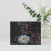 Goud Zee Anemone Briefkaart (Staand voorkant)