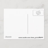 Goud Zee Anemone Briefkaart (Achterkant)