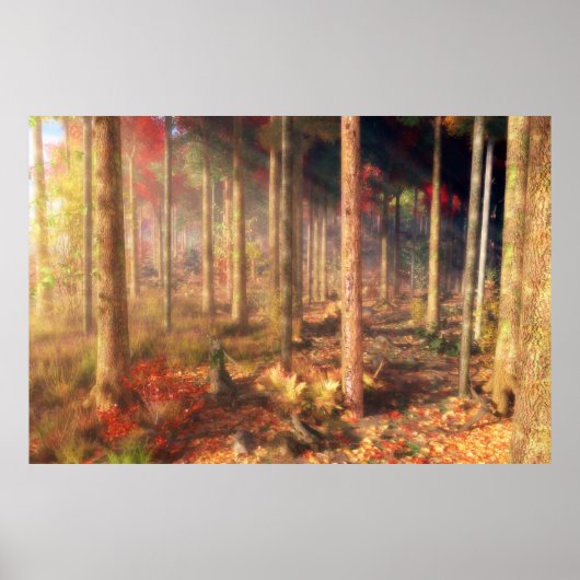 Goudafdrukken Poster (Voorkant)