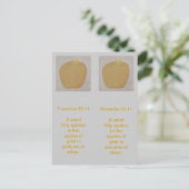 Goudappelen in afbeeldingen zilver, bladwijzer briefkaart (Staand voorkant)