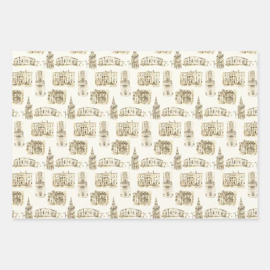 Goudarchitectuur Buffalo NY Pen & Inkt Wrapp Inpakpapier Vel (Voorkant)