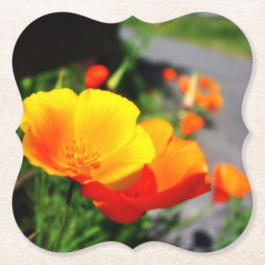 Goudbeker Kartonnen Onderzetters (Voorkant)