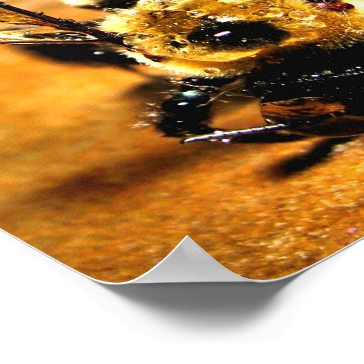 Goudbijen Poster (Hoek)