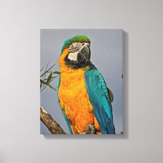 Goudblauwe Ingepakte Canvasprint Canvas Afdruk (Voorkant)
