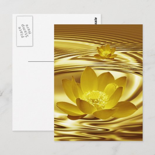 Goudbloem Briefkaart (Voorkant / Achterkant)