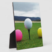 Goudbollen, t-shirt uit de bergen fotoplaat (Zijkant)