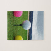 Goudbollen, t-shirt uit de bergen legpuzzel (Horizontaal)