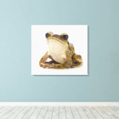 Goudboomkikker Canvas Afdruk (Insitu (Houten vloer))