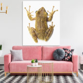 Goudboomkikker Canvas Afdruk (Insitu (Woonkamer))