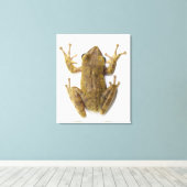 Goudboomkikker Canvas Afdruk (Insitu (Houten vloer))