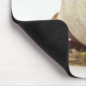 Goudboomkikker Muismat (Hoek)