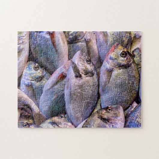 Goudbrasem Legpuzzel (Horizontaal)