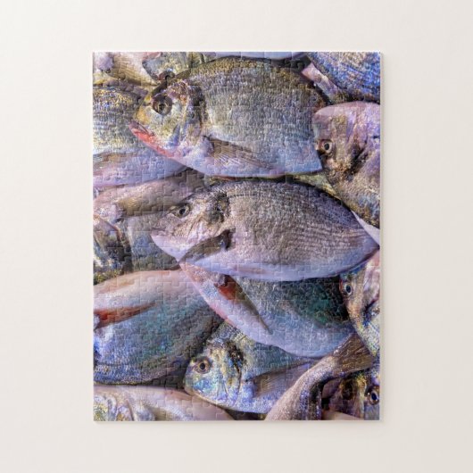 Goudbrasem Legpuzzel (Verticaal)