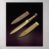 gouddolk en mantel poster (Voorkant)