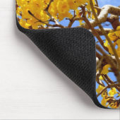 Gouddouche Muismat (Hoek)