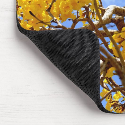 Gouddouche Muismat (Hoek)