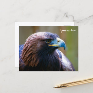Gouden Adelaar Ansichtkaart Briefkaart
