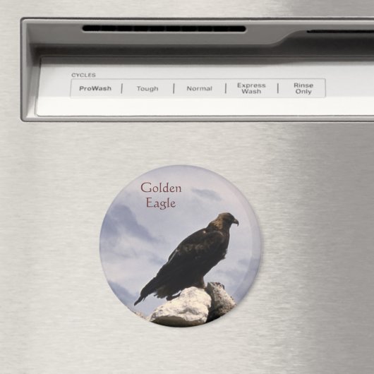 Gouden Adelaar Magneet (Insitu (Vaatwasser))