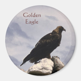 Gouden Adelaar Magneet
