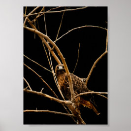 Gouden Afdruk Poster