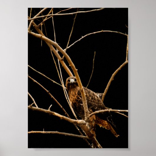 Gouden Afdruk Poster (Voorkant)