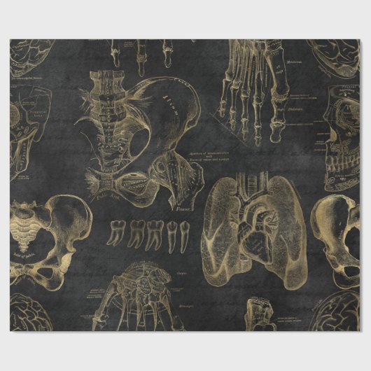 gouden anatomische tekeningen op zwart cadeaupapier (Vlak)