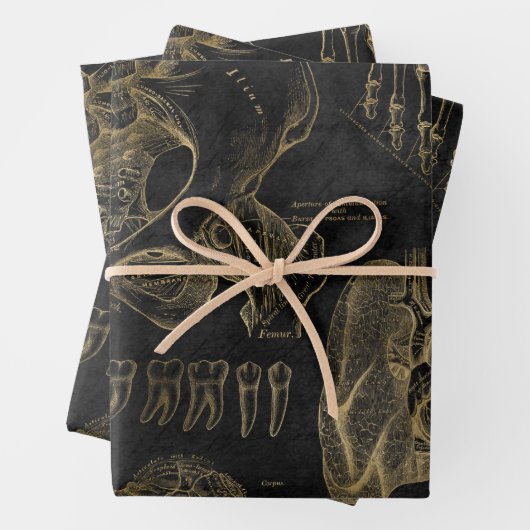 gouden anatomische tekeningen op zwart inpakpapier vel (In situ)