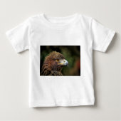 gouden arend (Voorkant)