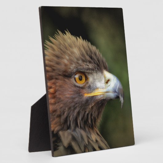 gouden arend fotoplaat (Zijkant)