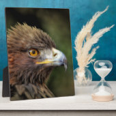 gouden arend fotoplaat (Zijkant)