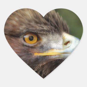 gouden arend hart sticker