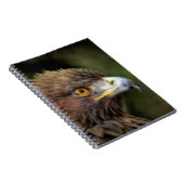 gouden arend notitieboek (Rechterzijde)