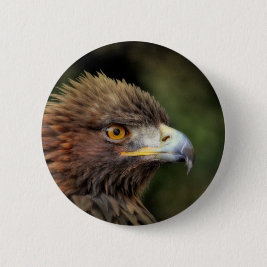 gouden arend ronde button 5,7 cm (Voorkant)