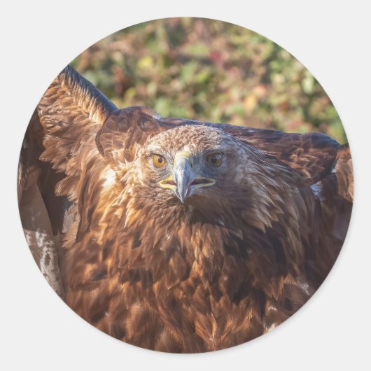 gouden arend ronde sticker (Voorkant)
