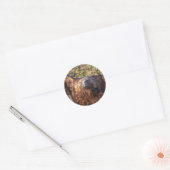 gouden arend ronde sticker (Envelop)
