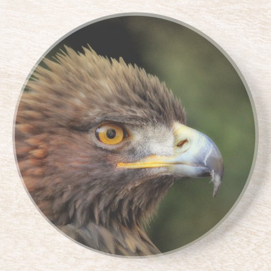 gouden arend zandsteen onderzetter (Voorkant)