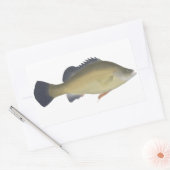 Gouden baars rechthoekige sticker (Envelop)