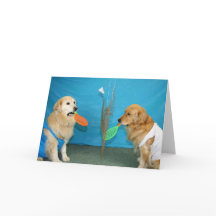 Gouden Badminton Verjaardag